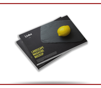 Custom Brochure Printing example