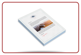 Branded Letterhead Printing