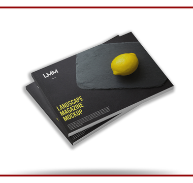 Custom Brochure Printing example