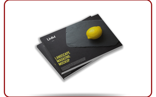 Custom Brochure Printing example