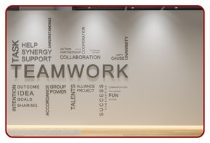 Office Wall Branding