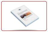 Branded Letterhead Printing