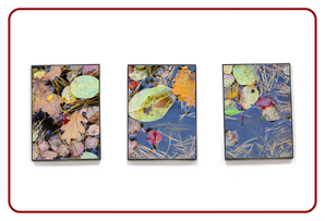 High-Quality Canvas Printing 