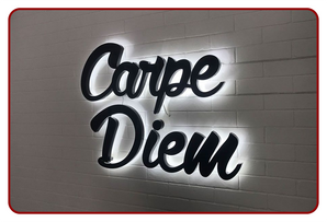 Lighted Outlit Signs